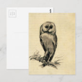 Barn Owl Von vorne gesehen von Vincent van Gogh Postkarte (Vorne/Hinten)