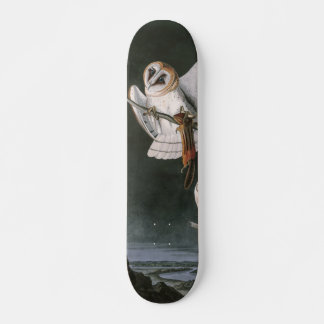 Barn Owls, die Vögel Amerikas John James Audubon Skateboard