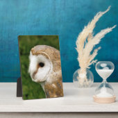 BARN OWLS FOTOPLATTE (Seite)