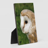 BARN OWLS FOTOPLATTE (Seite)