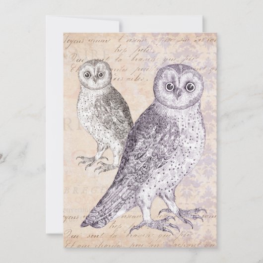 Barn Owls Geburtstagsparty Einladung (Vorderseite)