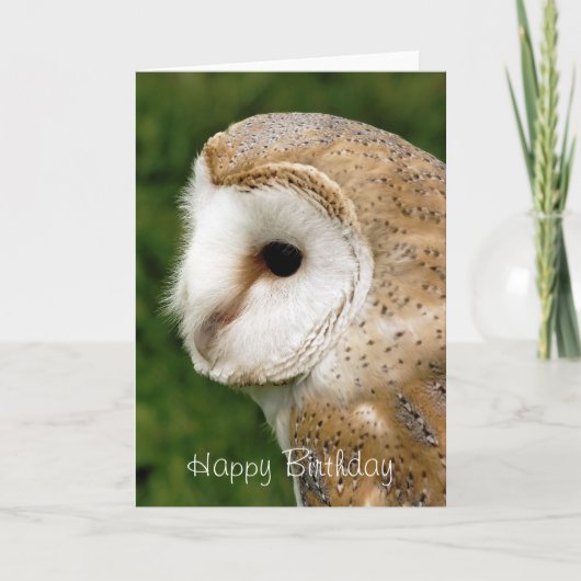 BARN OWLS KARTE (Vorderseite)