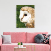 BARN OWLS LEINWANDDRUCK (Insitu (Wohnzimmer))