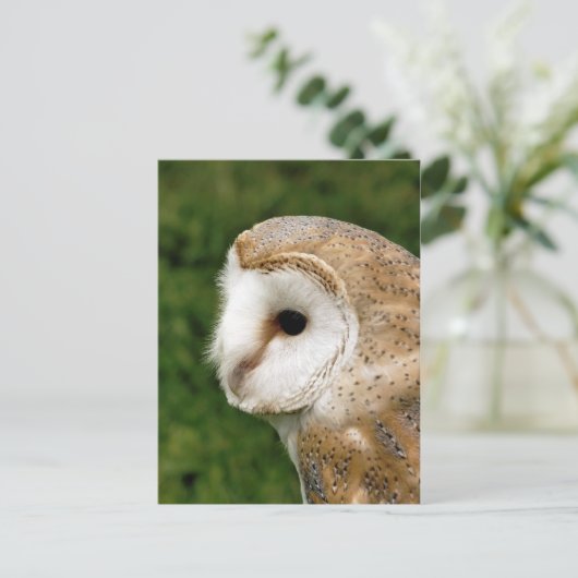 BARN OWLS POSTKARTE (Stehend Vorderseite)