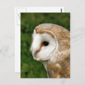 BARN OWLS POSTKARTE (Vorne/Hinten)