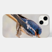 Barn Swallow Blue Bird Fotografy, Kanadier Case-Mate iPhone Hülle (Rückseite (Horizontal))