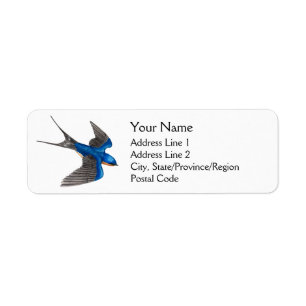 Barn Swallow in Flug-Adressbezeichnungen