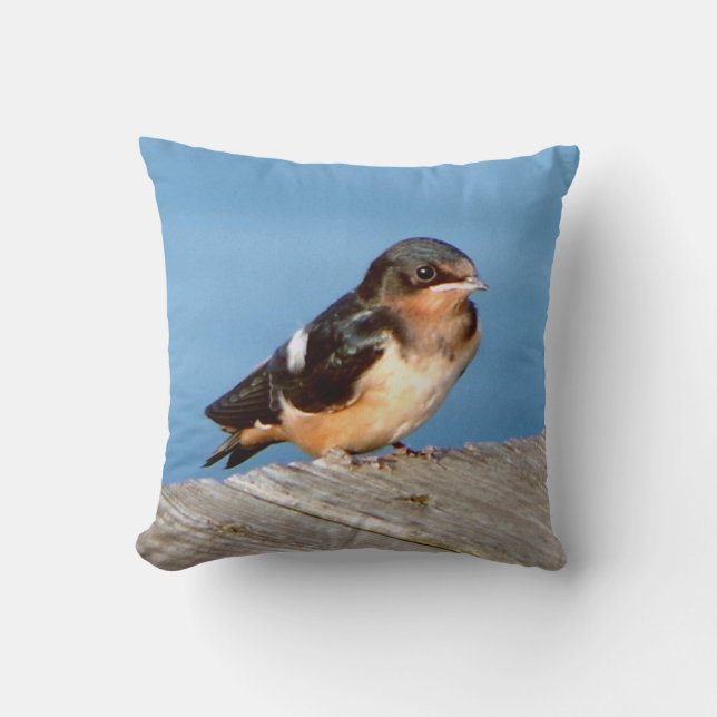 Barn Swallow Kissen (Vorderseite)