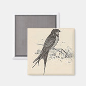 Barn Swallow Magnet (Vorderseite/Rückseite)