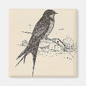 Barn Swallow Magnet (Vorne)