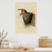 Barn Swallow Poster (Küche)