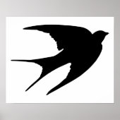 Barn Swallow Poster (Vorne)