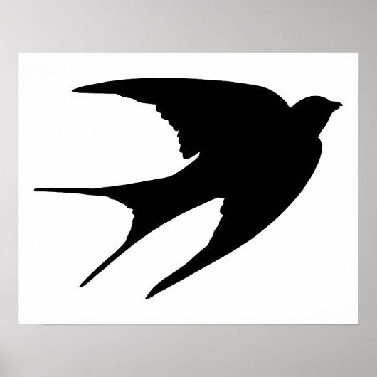 Barn Swallow Poster (Vorne)