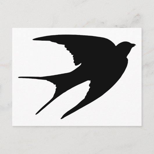 Barn Swallow Postkarte (Vorderseite)