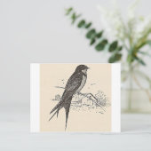 Barn Swallow Postkarte (Stehend Vorderseite)