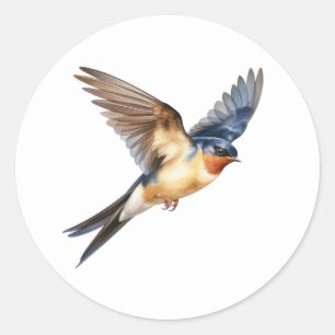Barn Swallow Runder Aufkleber