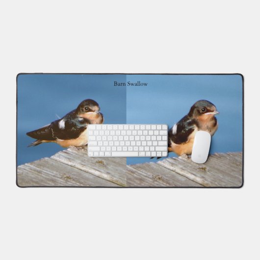 Barn Swallow Schreibtischmatte (Tastatur & Maus)