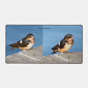 Barn Swallow Schreibtischmatte