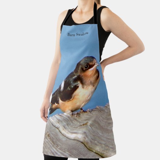 Barn Swallow Schürze (InSitu)