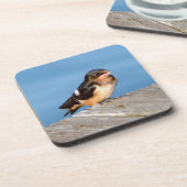 Barn Swallow Set von 6 Untersetzer (Linke Seite)