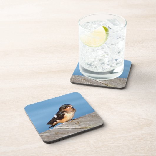 Barn Swallow Set von 6 Untersetzer (Rechte Seite)