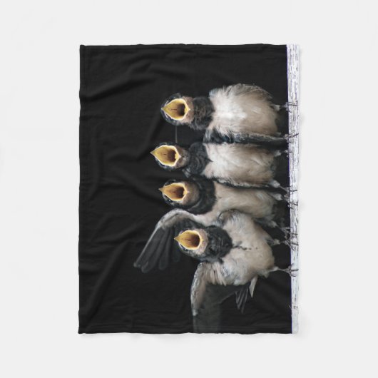 Barn Swallow Singing Fleecedecke (Vorderseite)
