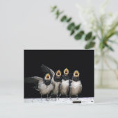 Barn Swallow Singing Postkarte (Stehend Vorderseite)
