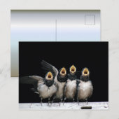 Barn Swallow Singing Postkarte (Vorne/Hinten)