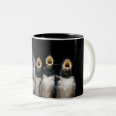 Barn Swallow Singing Zweifarbige Tasse (VorderseiteRechts)