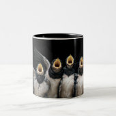 Barn Swallow Singing Zweifarbige Tasse (Mittel)