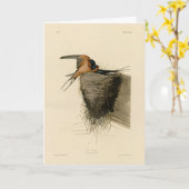 Barn Swallow von Audubons Vögeln in Amerika Karte (Gelbe Blume)