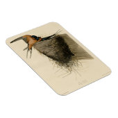 Barn Swallow von Audubons Vögeln in Amerika Magnet (Rechte Seite)