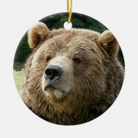 Bärn-Verzierung Keramik Ornament (Vorne)