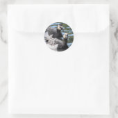 Barnacle Duet Runder Aufkleber (Tasche)