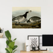 Barnacle Goose Poster (Heimbüro)