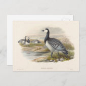 Barnacle Goose von Joseph Wolf Postkarte (Vorne/Hinten)