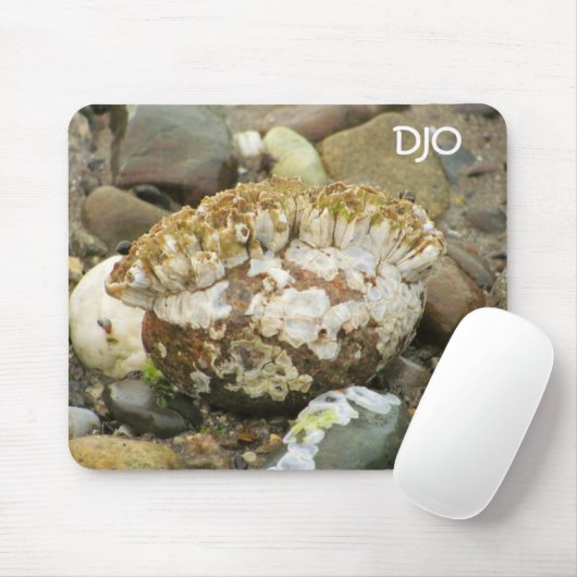 Barnacle Mohawk Beach Rock Mousepad (Mit Mouse)