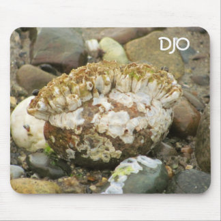 Barnacle Mohawk Beach Rock Mousepad