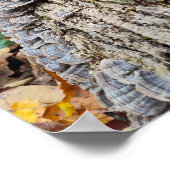 Barnacle Tree Log Poster (Ecke)