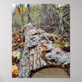 Barnacle Tree Log Poster (Vorne)