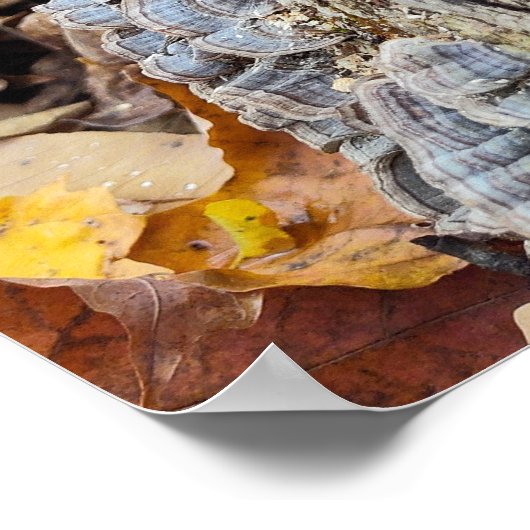 Barnacle Tree Log Poster (Ecke)