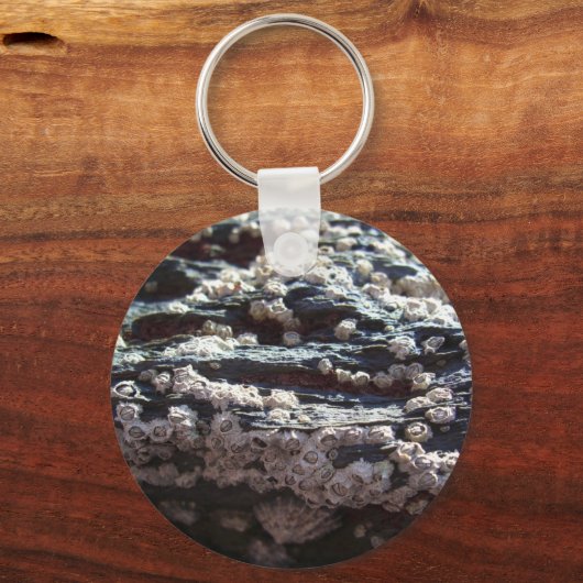 Barnacles 2 schlüsselanhänger (Vorderseite)