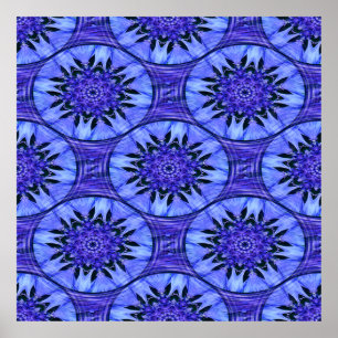 Barnacles en bleu...... poster