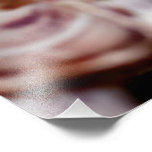 Barnacles Fotodruck (Ecke)