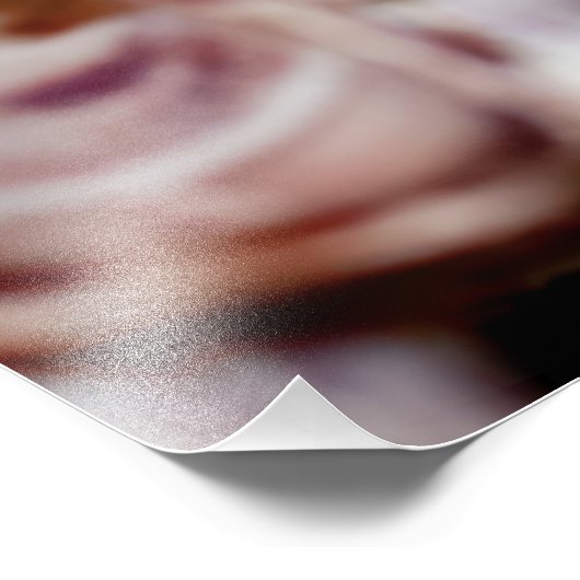 Barnacles Fotodruck (Ecke)