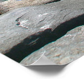 Barnegat Inlet Poster (Ecke)