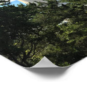 Barnegat Lighthouse Foto Poster (Ecke)