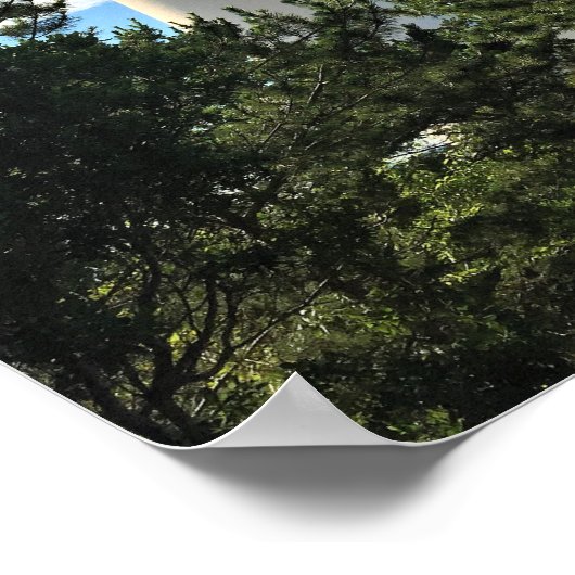 Barnegat Lighthouse Foto Poster (Ecke)