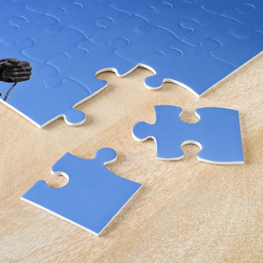 Barnegat Lighthouse, New Jersey Puzzle (Seite)