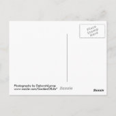 Barnegat Lighthouse Old Barney Postkarte (Rückseite)